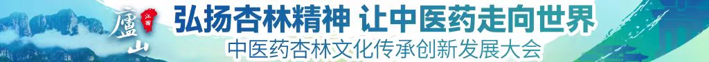 日本大鸡巴视频中医药杏林文化传承创新发展大会